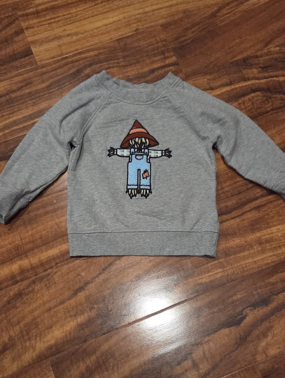 Monica & Andy EUC 12-18 Months Gray Scarecrow Sweatshirt
